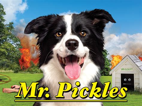 Mr. Pickles